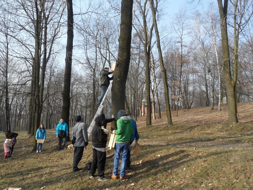 Piekary Śląskie: na pomoc ptakom [WIDEO + ZDJĘCIA]