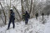 Duża akcja poszukiwawcza pod Wrocławiem. Pracuje kilkudziesięciu policjantów