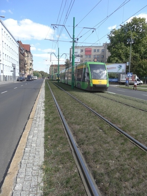 Potężny korek tramwajowy na Grunwaldzkiej. Bo "szóstka" miała awarię... [ZOBACZ ZDJĘCIA]