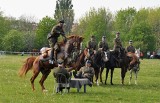 IX Majówka Kawaleryjska trwa w parku na osiedlu Armii Krajowej w Opolu