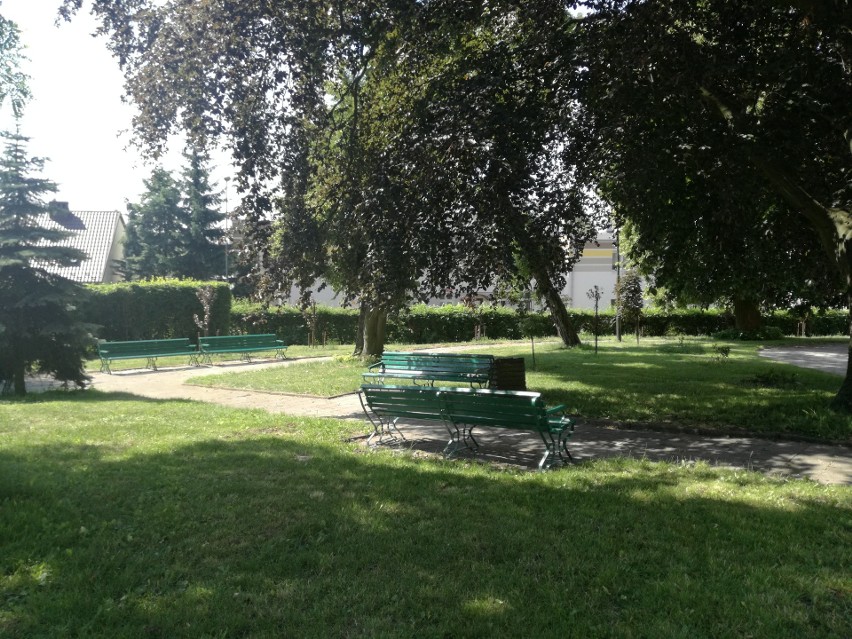 Tak wygląda park przy ul. Sępoleńskiej
