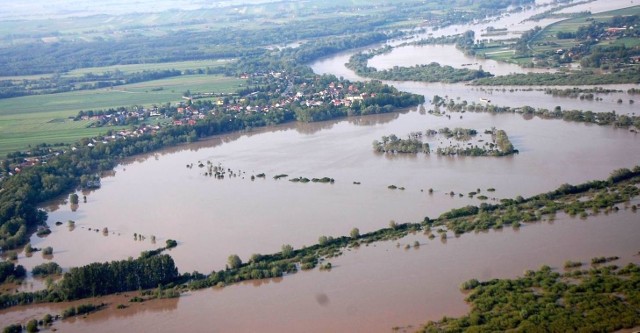 Tak jeszcze niedawno wyglądały błonia i tereny wokół Opatowca: setki hektarów zalanych przez Wisłę. Dziś znajdują się na nich wielkie "wylęgarnie" komarów - to główne źródło zagrożenia.