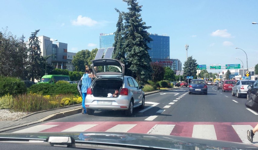 Na ulicy Cieplińskiego w centrum Rzeszowa prawdopodobnie...