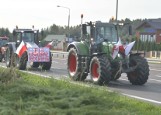 Protest rolników w regionie radomskim. Jechali ulicami Radomia i powiatu. Nie chcą "Piątki dla Zwierząt" [FILMY, ZDJĘCIA]