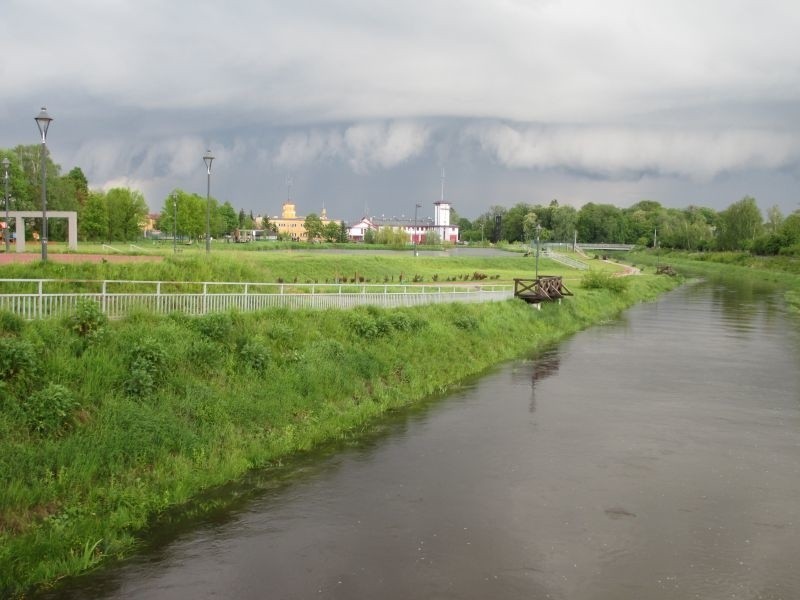 Rzeka Czarna w Staszowie