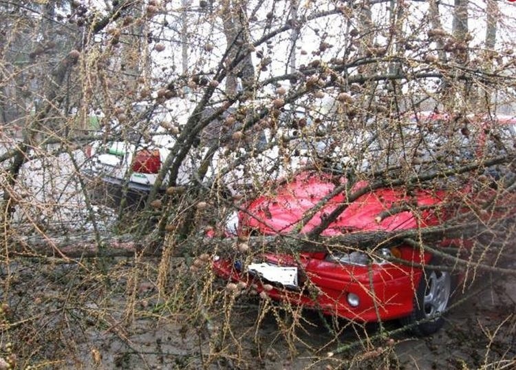 Wiatr powalił drzewa i zniszczył samochody. Uwaga na wichury i zablokowane drogi (zdjęcia, wideo)