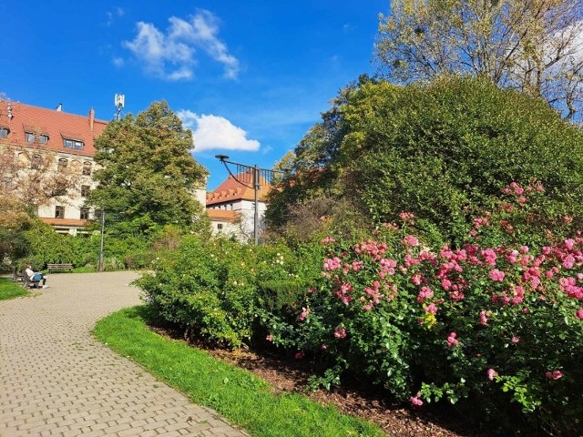 Śródmiejskie place w Bytomiu – Akademicki, Jana III Sobieskiego i Andrzeja Hiolskiego mają zostać wpisane do rejestru zabytków