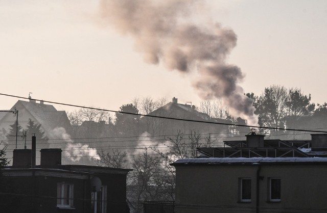 W Bydgoszczy działa specjalna - sześcioosobowa grupa strażników - która zajmuje się wyłącznie kontrolami kamienic i posesji pod katem spalania odpadów w piecach.