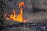 Kraków: pożar łąk w okolicy Bonarki [ZDJĘCIA]