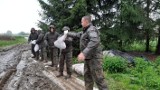 Małopolska. Wojsko weszło do akcji! Terytorialsi walczą z powodzią na Powiślu Dąbrowskim [NOWE ZDJĘCIA]