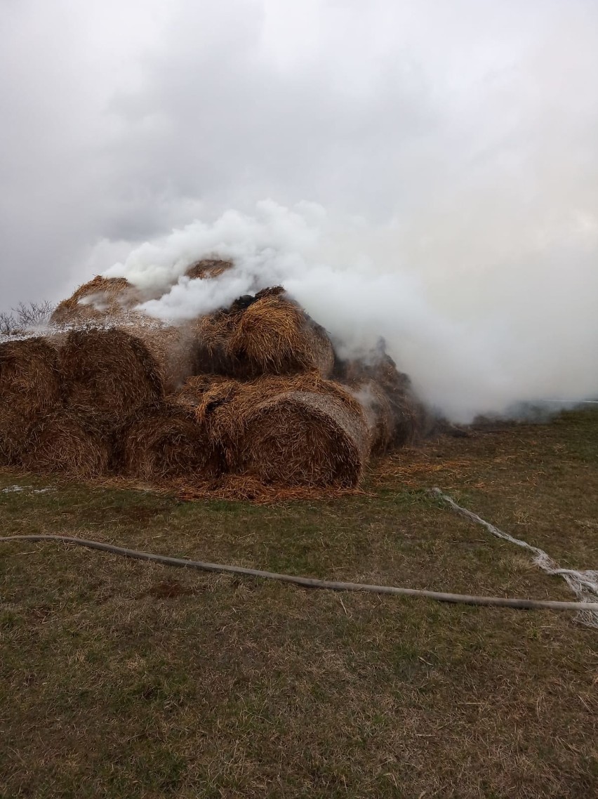 100 balotów słomy paliło się na polu w miejscowości Szwagrów. Akcja strażaków [ZDJĘCIA]