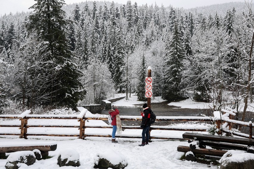 Opady śniegu na Podhalu, 12 bm. w Zakopanem. W Tatrach...
