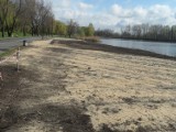 Sosnowiec: Budowa plaży na Stawikach. Zobacz postępy [ZDJĘCIA]