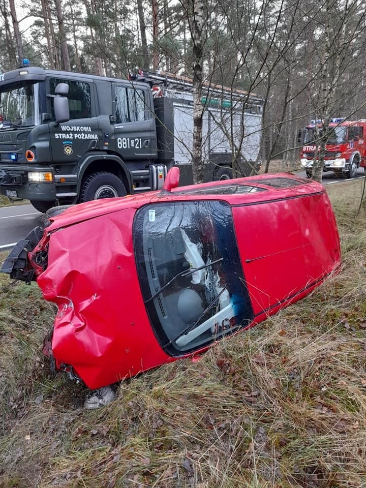 Po zderzeniu z sarną auto wylądowało w rowie