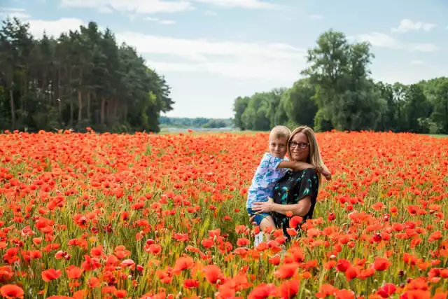 Nieskończone pole makowe zachwyca przechodniów na fordońskim Pałczu - zdjęcia.