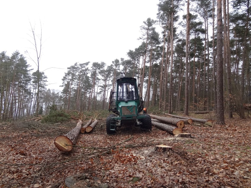 Podczas trąby powietrznej z 2013 r. straty były ogromne....