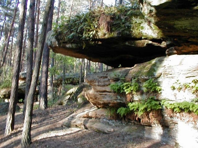   Atrakcją turystyczną zalewu w Brodach są skały w jego otoczeniu, w Krynkach