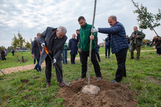 Ostatnie 4 lataMijająca kadencja upłynęła pod znakiem zieleni i walki ze smogiem. Nie żeby Kraków się nagle zazielenił i pozbył smogu, ale prezydent w końcu dostrzegł, że mieszkańcy domagają się terenów zielonych. Powstał Zarząd Zieleni Miejskiej, który z powodzeniem zaczął zazieleniać miasto. Na razie może bez spektakularnych efektów, ale te są jednak widzące. Ze smogiem idzie dwojako. Z jednej strony miasto zlikwidowało już prawie wszystkie paleniska węglowe (na przyszły rok zostanie ich ok. cztery tysiące do usunięcia, z drugiej smog cały czas nam towarzyszy, a poprawa jakości powietrza nie jest znacząca. Na utrzymujący się smog wpływ mają zanieczyszczenia transportowe oraz emisja z gmin ościennych. I z tymi problemami władze Krakowa muszą się zmierzyć w nowej kadencji. Ta mijająca utrwaliła się mieszkańcom z betonowaniem Krakowa. Prezydent często słyszał zarzuty, że doprowadza do chaotycznej zabudowy, a Kraków jest miastem dla deweloperów, a nie mieszkańców. Problemy związane z nadmierną zabudową mieszkaniową i biurową potwierdził wewnętrzny audyt w urzędzie. W wakacje prezydent zwolnił swoją zastępczynię ds. rozwoju miasta, Elżbietę Koterbę, przez lata utożsamianą z zabudową miasta.