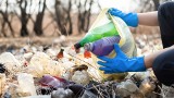 Kary za śmieci. Co grozi za nielegalne wyrzucanie odpadów i dlaczego za dzikie wysypiska śmieci w lesie płacimy wszyscy?