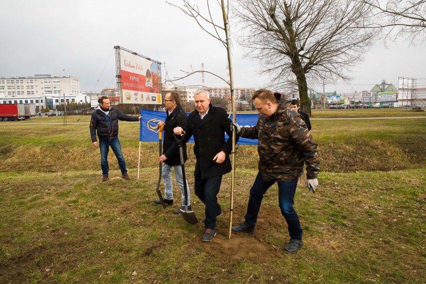 Politycy PO w Dzień Lasu protestowali przeciwko wycince...