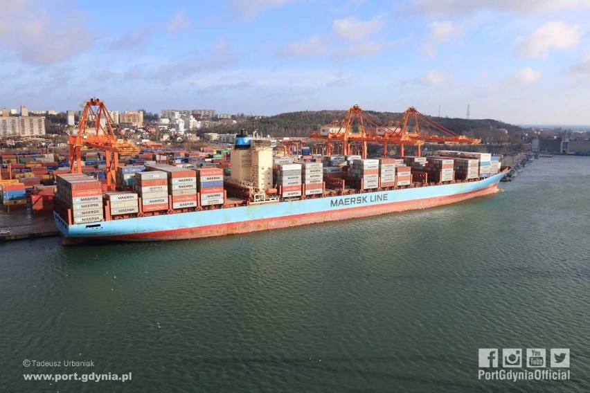 Charlotte Maersk w Porcie Gdynia, 12.02.2019