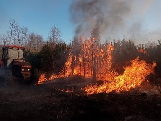 Pożar lasu w Marculach był gaszony z ziemi, ale konieczne było też wysłanie samolotu gaśniczego regionalnej dyrekcji. To jeden z wielu pożar&oacute;w w regionie wywołany przez bezmyślnych podpalaczy.