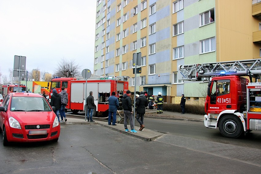 Pożar mieszkania w wieżowcu. Zginął pies (ZDJĘCIA)