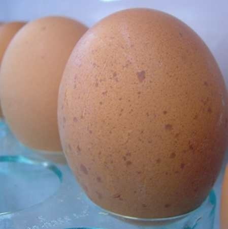Jedno średnie jajko ma 79 kcal