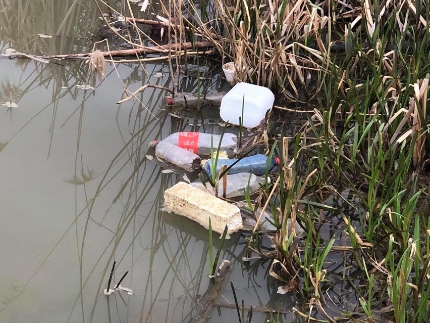 W Wisłoku jest pełno śmieci. Plastikowe i szklane butelki, papiery, opakowania po aerozolach, puszki, styropian [ZDJĘCIA]