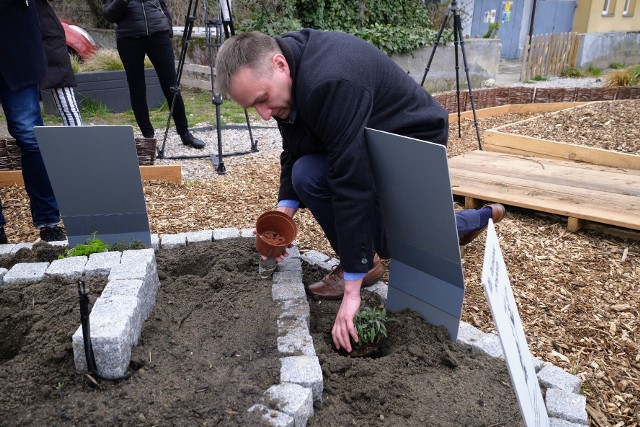 Ekoedukacja będzie prowadzona przy Bramie Poznania.