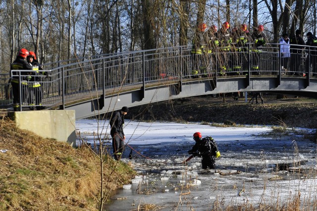 Strażacy przeszukiwali dzisiaj po południu tak zwaną martówkę w parku na Bydgoskim Przedmieściu w Toruniu. Otrzymali bowiem informacje, że prawdopodobnie jakieś dziecko wpadło do wody ze znajdującej się nad nią kładki. Poważny wypadek w Tryszczynie. Policyjny samochód z więźniami zderzył się z osobówką [zdjęcia]Akcja była zakrojona na szeroką skalę. Przyjechali również płetwonurkowie. Nikogo nie znaleziono i wszystko wskazuje na to, że był to fałszywy alarm, a zgłaszający tę sytuację albo coś źle zobaczył lub wszystko wymyślił.(wap)Wideo: Info z Polski - 22.02.2018