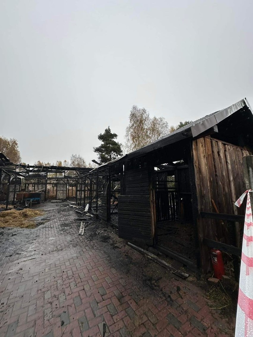 Pożar stajni - zdjęcia obiektu po akcji strażaków.