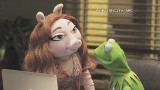 Kermit ma nową dziewczynę. Jest chudsza od Miss Piggy
