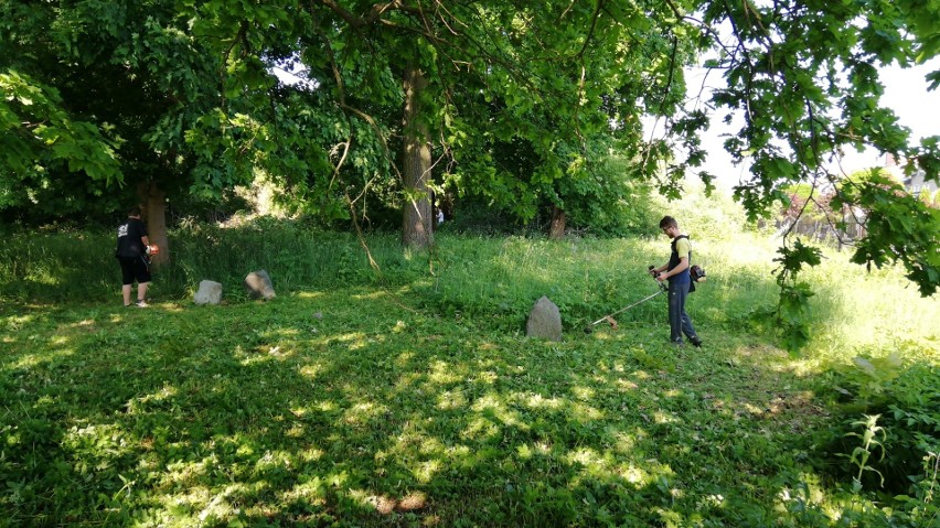 Sprzątanie cmentarza żydowskiego w Wysokiem Mazowieckiem