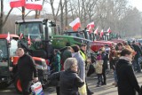 "Niedziela z rolnikiem" w Koszalinie. Atrakcji nie brakowało [ZDJĘCIA]