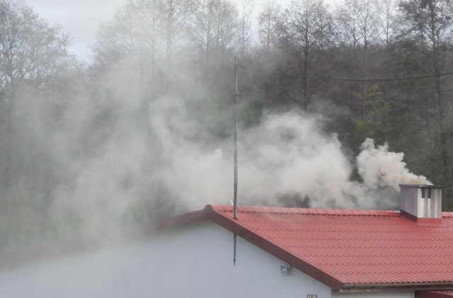 W Kujawsko-Pomorskiem poprawia się stan środowiska. Jednak największym problemem pozostaje zanieczyszczenie powietrza dymem z gospodarstw domowych.