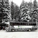 Jest połączenie autobusowe z Tatrami Zachodnimi. Prywatny przewoźnik