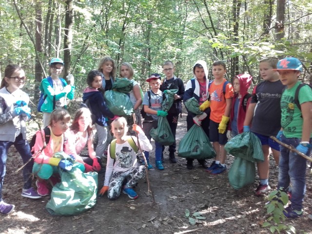 Dzieci ze szkoły numer 28 w Radomiu, zbierały śmieci w lesie, w okolicach Jedlni-Letniska.