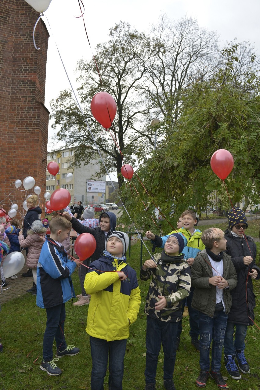 Balony z życzeniami dla Polski [zdjęcia]       