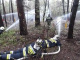 Czernichów. Szkoła Aspirantów w akcji, czyli poligon strażacki nad Wisłą [WIDEO, ZDJĘCIA]