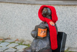 Białostockie WidziMisie w czerwonych szalikach