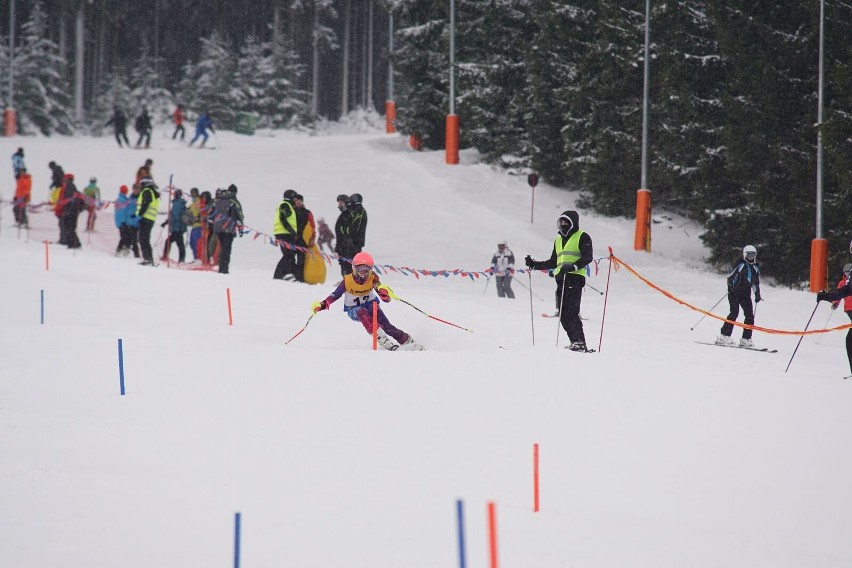 Mistrzostwa WZN w slalomie na Czarnej Górze - 13.01.2017 r.