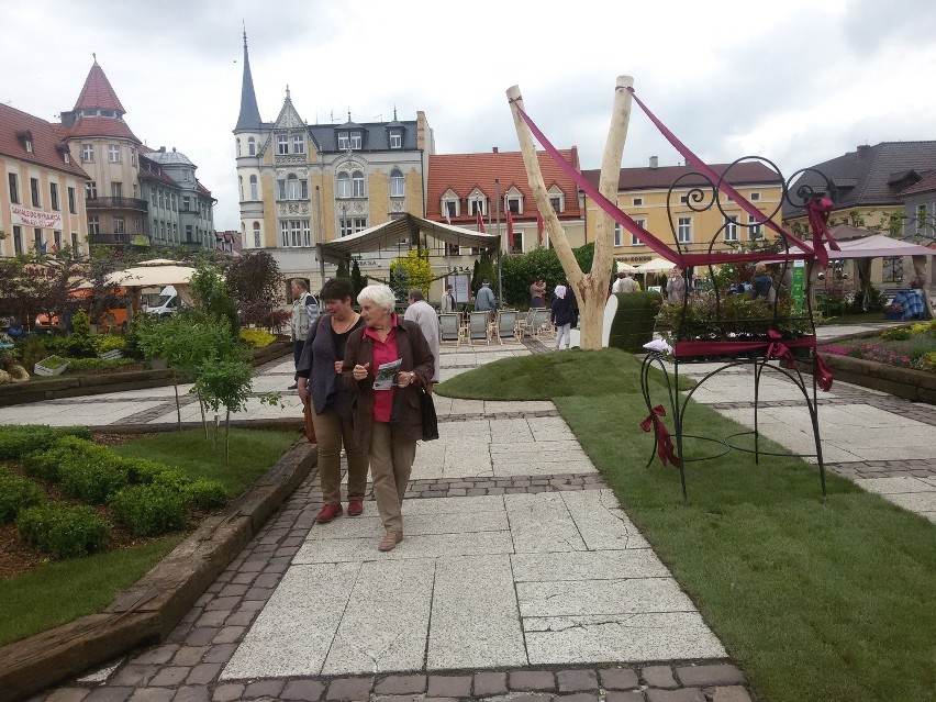 Rynek w Pszczynie na Daisy Days zmienił się w ogród