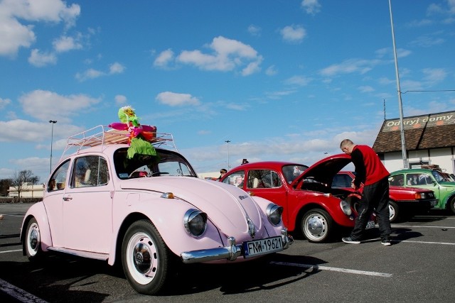 Zielonogórskie Stowarzyszenie Miłośników VW Garbusa Volksmobil w niedzielę, 24 marca rozpoczęło oficjalnie sezon. Miłośnicy i właściciele tylnosilnikowych volkswagenów spotkali się w Zielonej Górze na parkingu obok marketu Auchan, aby stąd wyruszyć dalej i zakończyć pierwszą oficjalną przejażdżkę na lotnisku w Przylepie. Dobre humory, słoneczna pogoda dopisały. Kolejna wyprawa już w maju. A w sierpniu pamiętajcie o wielkim zlocie miłośników tych klimatycznych aut. To będzie już 11.edycja tego wydarzenia zorganizowana na terenie WOSiR w Zielonej Górze Drzonkowie. Zobacz, jak było na Garbobraniu w 2018 roku [ZDJĘCIA];nfWIDEO:"Moje życie kręci się wokół Garbusów". Zlot legendarnych Volkswagenów w Zielonej Górzeźródło: TVN24/x-news