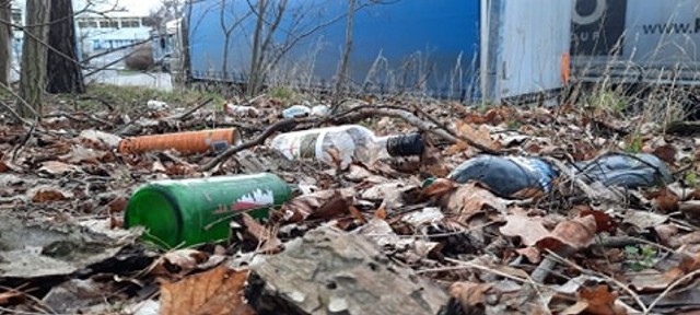Nielegalne pozbywanie się śmieci to w Zielonej Górze wciąż duży problem