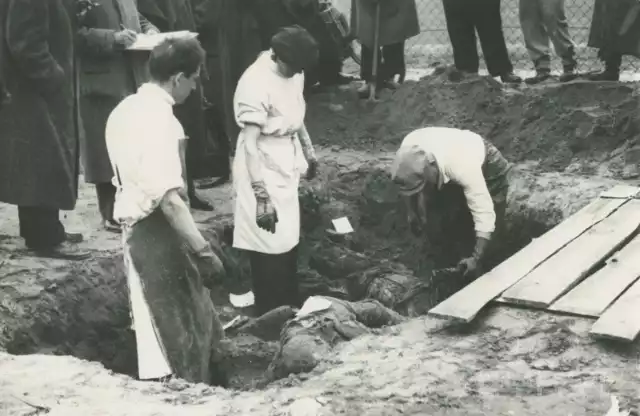 Ekshumacja ofiar na terenie niemieckiego obozu w Żabikowie (Polizeigefängnis der Sicherhaitspolizei und Arbeitserziehungslager Posen-Lenzingen), III-IV 1945 r.