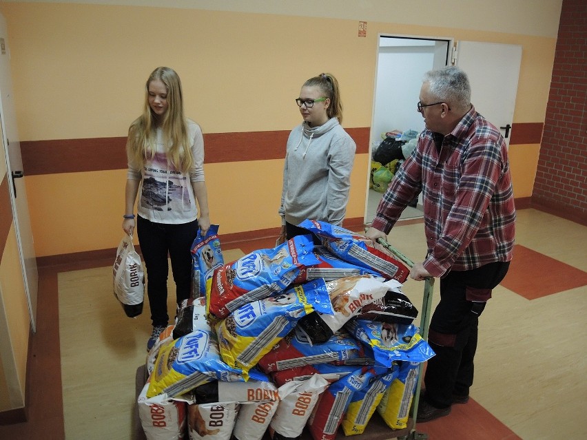 Uczniowie Gimnazjum w Miastku zebrali 311 kilogramów karmy.