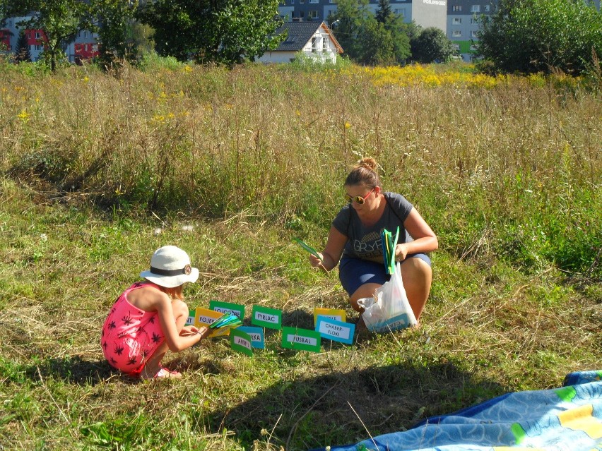 Piknik przy Elektrociepłowni Szombierki