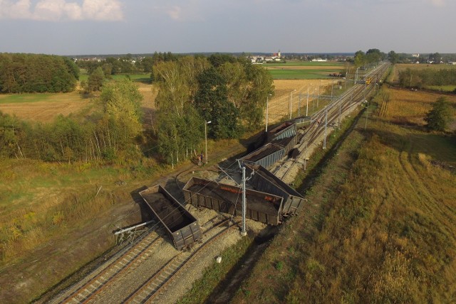 Skład wiozący węgiel dla Elektrowni Opole wykoleił się w czwartek wieczorem koło stacji Tarnów Opolski.
