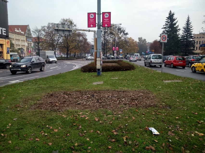 Zniknęły lwy gdańskie stojące na placu w pobliżu Huciska [ZDJĘCIA] 